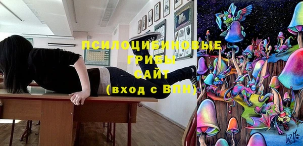 МДМА Алексеевка