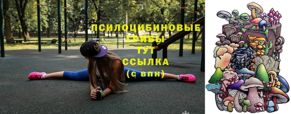 МДМА Алексеевка