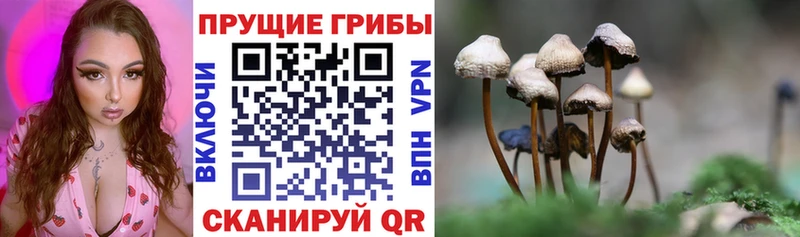 даркнет сайт  блэк спрут как зайти  Галлюциногенные грибы Magic Shrooms  Кировград 