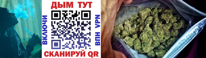 Шишки марихуана семена купить закладку hydra вход Кировград